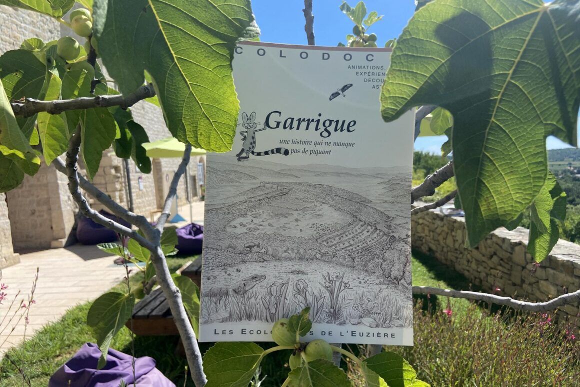 Garrigues, une histoire qui ne manque pas de piquant