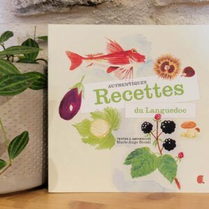 Livre Recettes du Languedoc