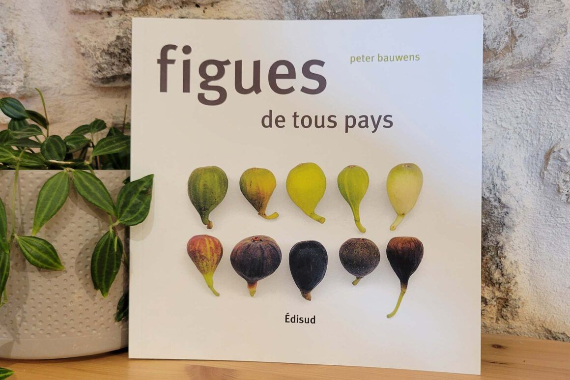 Livre Figues de tous pays