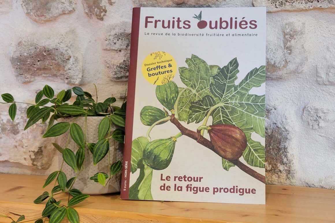 Livre les fruits oubliés