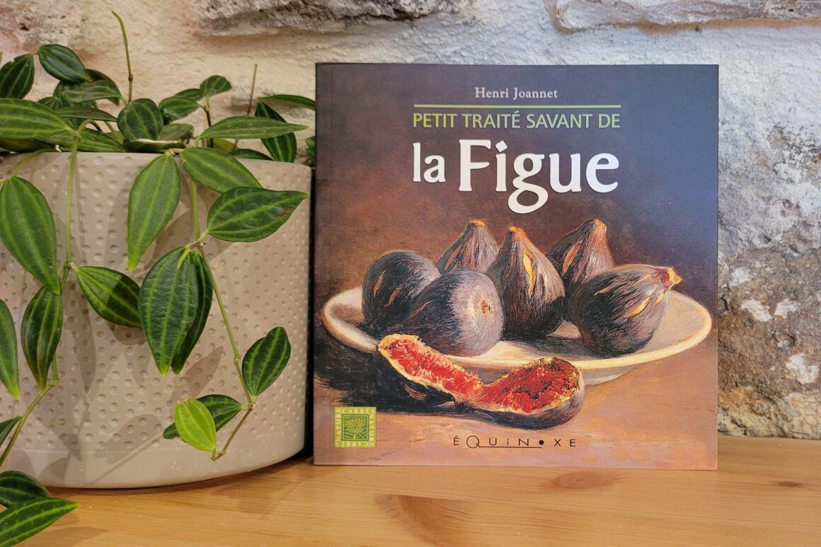 Livre Petit traité savant de la figue